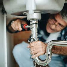 Best Commercial Plumbing Services  in Fox River Grove, IL